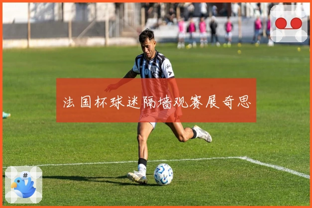 法国杯球迷隔墙观赛展奇思