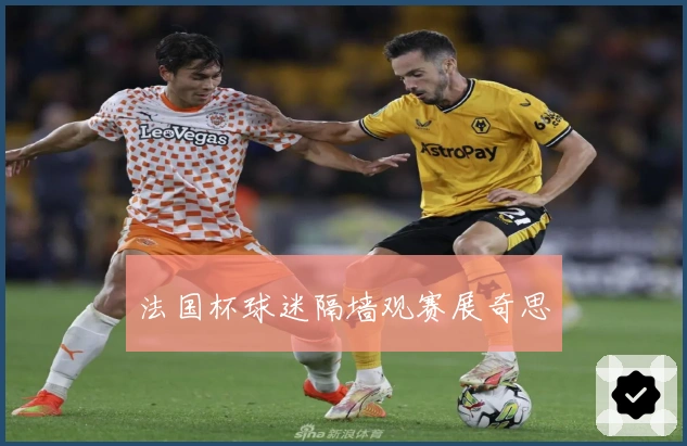 法国杯球迷隔墙观赛展奇思